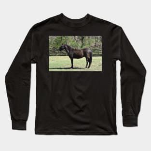 Mustang Long Sleeve T-Shirt